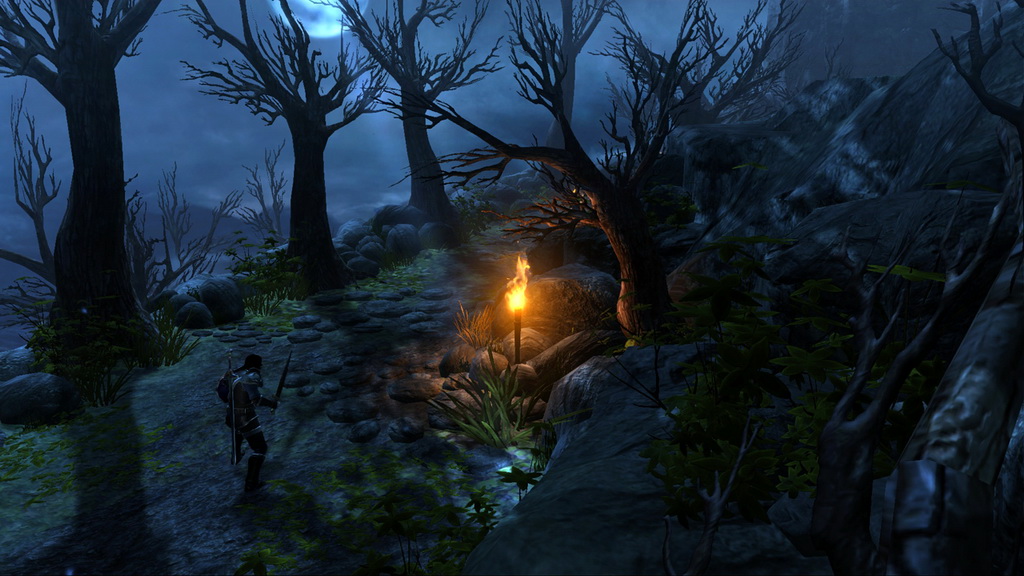 dungeon-siege-3-screenshot-12