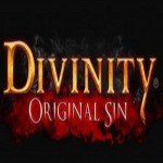 Обзор игры Divinity: Original Sin