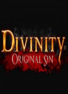 Обзор игры Divinity: Original Sin